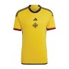 Camiseta de fútbol Irlanda Del Norte Segunda Equipación 2022 - Hombre